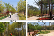 부산시민공원 농협 기부숲(6만 5천㎡) 조성 완료