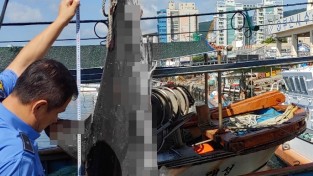 해운대 남동방 해상, 조업 중 그물에 걸린 상어 발견