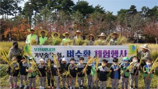 부산시설공단, 부산시민공원 벼 수확 체험