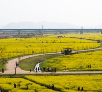 4월의 봄, 힐링 크로젝트 - 제8회 부산낙동강 유채꽃 축제